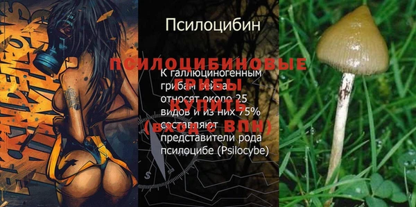 ГАЛЛЮЦИНОГЕННЫЕ ГРИБЫ Армянск