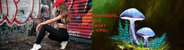 ГАЛЛЮЦИНОГЕННЫЕ ГРИБЫ Армянск