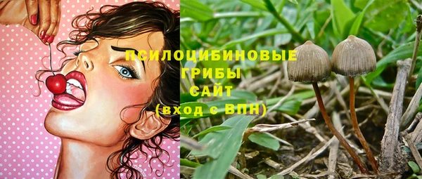 мяу мяу мука Аркадак