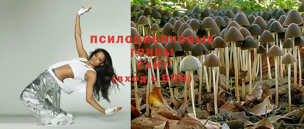 мяу мяу мука Аркадак