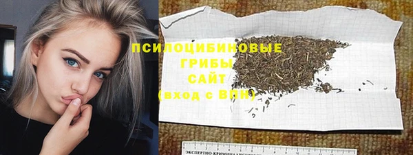 ГАЛЛЮЦИНОГЕННЫЕ ГРИБЫ Армянск
